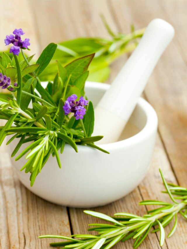 Closeup shot of purple lavender with mortar and pestle - beauty treatment concept